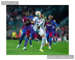 球迷：这队已经提前预定冠军